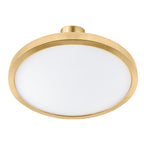 Módulo Tadema Redondo LED 15W luz cálida (3000K) 120° 24V acabado dorado línea Europa iLumileds
