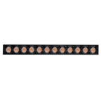 Luminario tipo rectangular puntual 12W 24° 12 cuerpos ópticos 48V 3000K para riel magnético de iLumileds