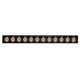 Luminario tipo rectangular puntual 12W 24° 12 cuerpos ópticos 48V 3000K para riel magnético de iLumileds