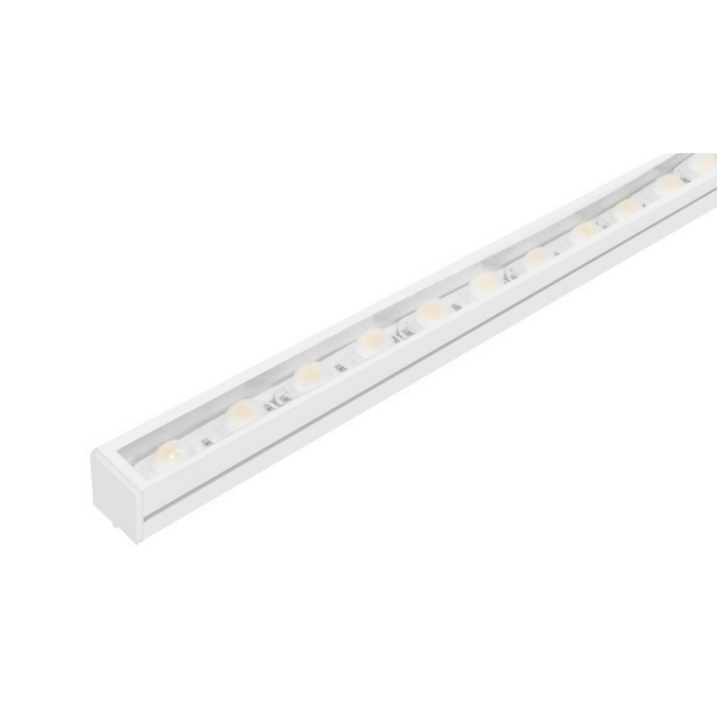 Tira LED 24V con óptica integrada 30x45° para interior y exterior  48 Chips 2835 rollo de 5m opciones color de luz de iLumileds